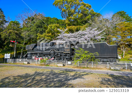D51 No. 499 Tsukairaku Park Tsu City, Mie Prefecture 125013319