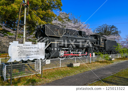 D51 No. 499 Tsukairaku Park Tsu City, Mie Prefecture 125013322
