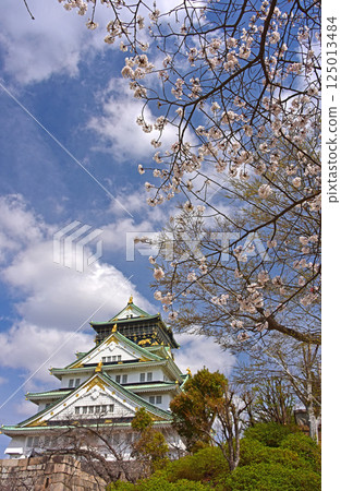 大阪城和櫻花，大阪府 125013484