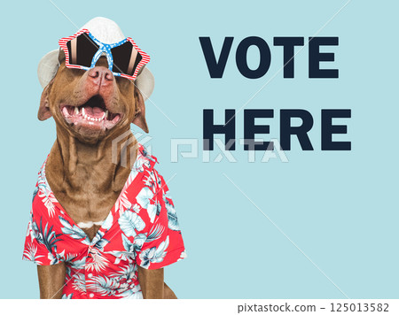 VOTE HERE. US Elections. 2024 Presidential Election. Adorable dog VOTE HERE. US Elections. 2024 Presidential Election. Adorable dog 125013582