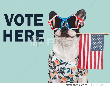VOTE HERE. US Elections. 2024 Presidential Election 125013583
