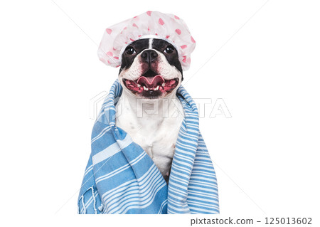 Cute puppy, shower cap and blue towel Cute puppy, shower cap and blue towel 125013602