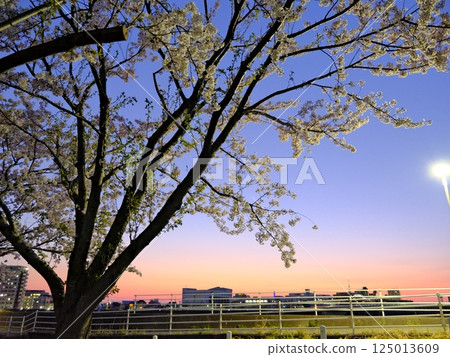 Spring evening sunset seen from the bank 125013609
