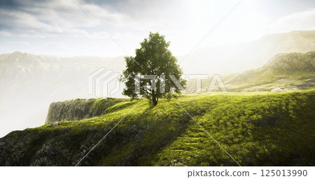 Lone tree on a hilltop under soft sunlight in a tranquil landscape setting 125013990