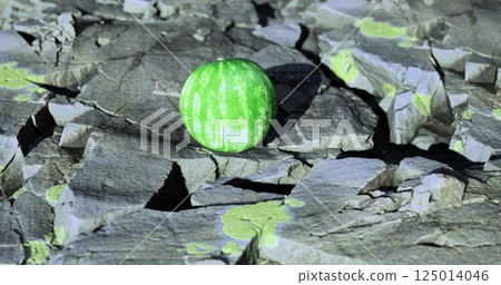 Colorful watermelon sitting on rocky surface in natural light Colorful watermelon sitting on rocky surface in natural light 125014046