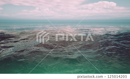 Serene Ocean Waters at Dawn Serene Ocean Waters at Dawn 125014203
