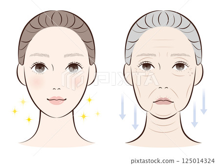 Comparison of an aged face and a youthful face | Illustrations of skin changes with age 125014324