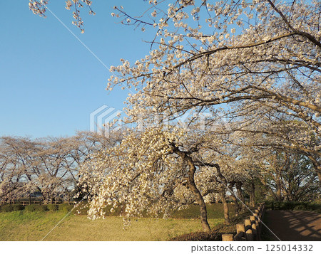 Kobe Waterbird Village Park 125014332