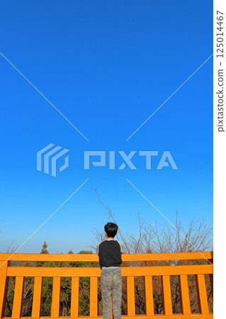 Boy looking out from observation deck Boy looking out from observation deck 125014467
