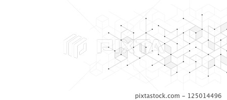 The graphic design elements with isometric shape blocks. Vector illustration of abstract geometric background 125014496