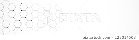 Panoramic view of abstract geometric background with hexagons shape pattern for banner or website header template 125014508