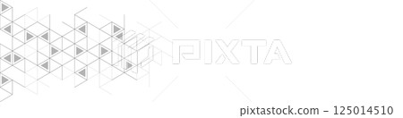Abstract geometric background with triangle shape pattern 125014510