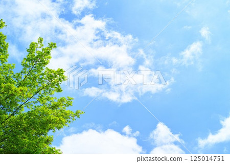 Blue sky and cloud image 125014751