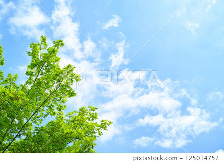 Blue sky and cloud image 125014752