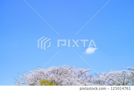 Blue sky and cloud image 125014761