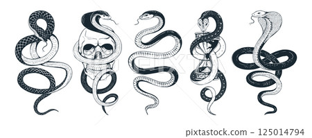 Black snake set. Viper skin tattoo, outline mamba reptile in rock style. Poison serpent shed for shirt, japan grunge print. Oriental style abstract animal. Vector isolated elements 125014794