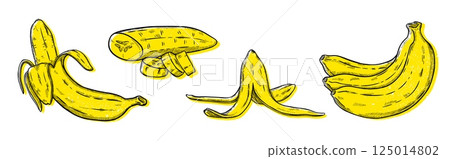 Doodle banana. Line plant sketch, whole tropical fruits and peel. Monkey bunch as graphic nature art, food icon or engraving set. Botanical product, tasty snack. Vector isolated illustration Doodle banana. Line plant sketch, whole tropical fruits and peel. Monkey bunch as graphic nature art, food icon or engraving set. Botanical product, tasty snack. Vector isolated illustration 125014802