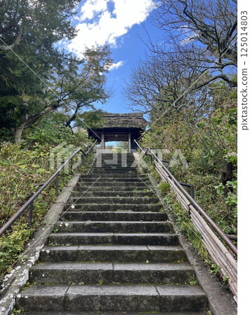 Stone steps leading to ancient hilltop building Stone steps leading to ancient hilltop building 125014803