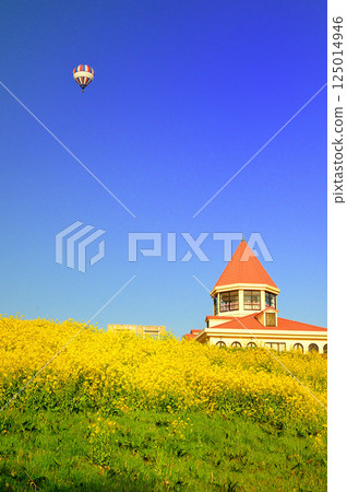 A balloon floating in a rapeseed flower field A balloon floating in a rapeseed flower field 125014946