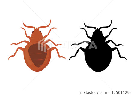 Bed Bug and Silhouette of Bedbug. 125015293