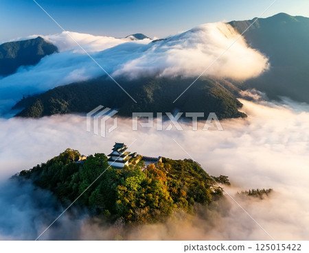 Echizen Ono Castle floating in the sea of clouds illustration 125015422
