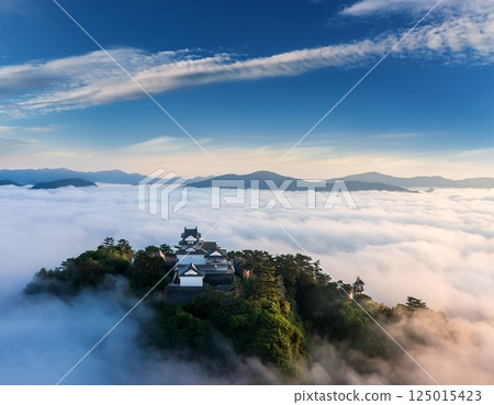 Echizen Ono Castle floating in the sea of clouds illustration 125015423