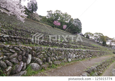 Stone-built spectator seats at Yamane Park - Niihama City, Ehime Prefecture - Stone-built spectator seats at Yamane Park - Niihama City, Ehime Prefecture - 125015774