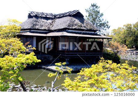 Spring scenery of Kanno Park in Saga (popular tourist spot and cherry blossom viewing spot) Spring scenery of Kanno Park in Saga (popular tourist spot and cherry blossom viewing spot) 125016000