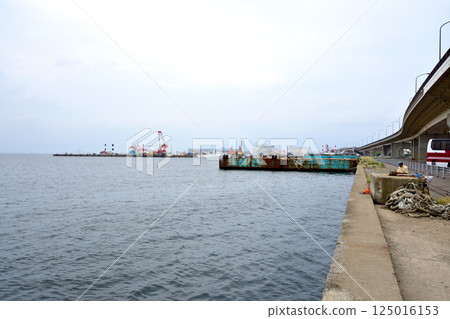 Scenery of Hakodate Port, Hokkaido 125016153