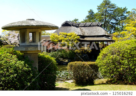 Spring scenery of Kanno Park in Saga (popular tourist spot and cherry blossom viewing spot) Spring scenery of Kanno Park in Saga (popular tourist spot and cherry blossom viewing spot) 125016292