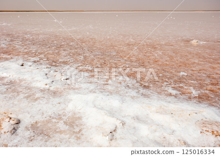 Tunisian Sahara Desert - salt lake of Sebkhet El Melah (Lac sale de Zarzis) in the lowlands Tunisian Sahara Desert - salt lake of Sebkhet El Melah (Lac sale de Zarzis) in the lowlands 125016334