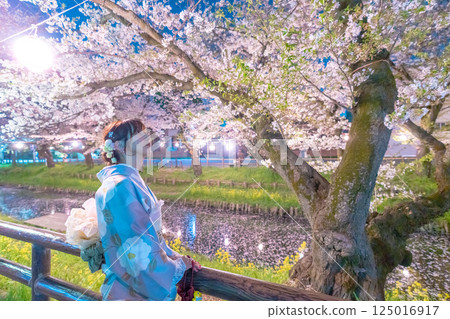 Illuminated cherry blossoms on Kawagoe Shingashi River with floating flower rafts and a middle-aged woman in a kimono 125016917