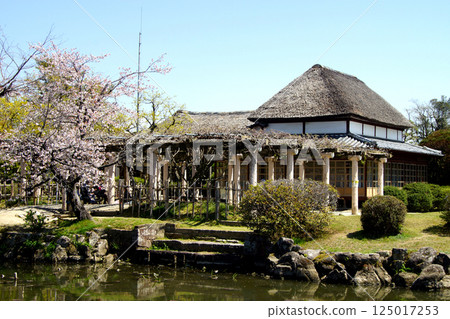 Spring scenery of Kanno Park in Saga (popular tourist spot and cherry blossom viewing spot) Spring scenery of Kanno Park in Saga (popular tourist spot and cherry blossom viewing spot) 125017253