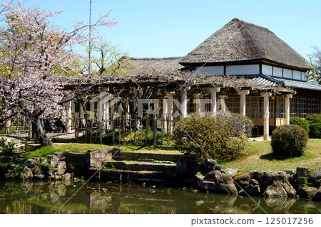 佐賀縣神野公園的春天景色（熱門旅遊景點和櫻花景點） 125017256