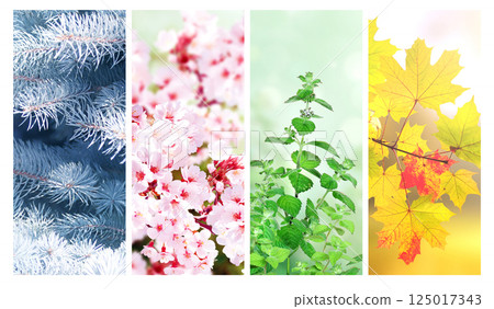 Set of vertical nature banners. Four season of year. Each one features scene of nature, from the gentle snowfall of winter to the vibrant leaves of summer. Perfect for showcasing the changing seasons 125017343