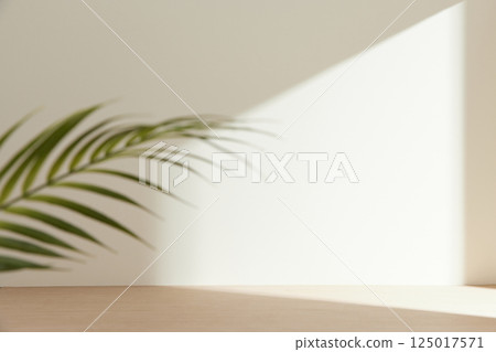 Morning Light and Natural Shadows in a Minimal Living Space. 125017571