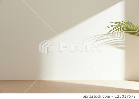Morning Light and Natural Shadows in a Minimal Living Space. 125017572