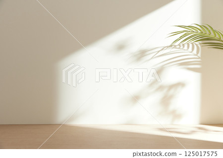 Morning Light and Natural Shadows in a Minimal Living Space. Morning Light and Natural Shadows in a Minimal Living Space. 125017575