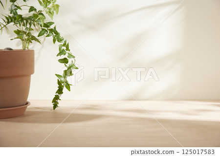 Morning Light and Natural Shadows in a Minimal Living Space. 125017583