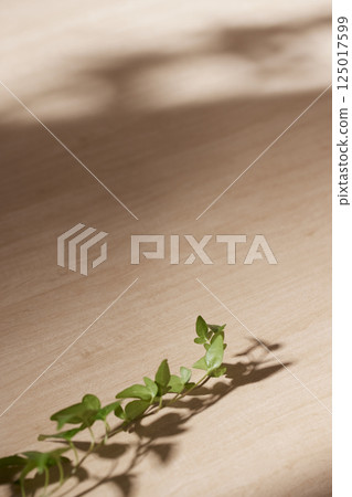 Morning Light and Natural Shadows in a Minimal Living Space. Morning Light and Natural Shadows in a Minimal Living Space. 125017599
