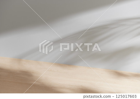 Morning Light and Natural Shadows in a Minimal Living Space. Morning Light and Natural Shadows in a Minimal Living Space. 125017603