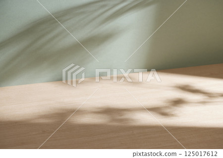 Morning Light and Natural Shadows in a Minimal Living Space. 125017612