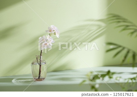 Morning Light and Natural Shadows in a Minimal Living Space. Morning Light and Natural Shadows in a Minimal Living Space. 125017621