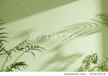 Morning Light and Natural Shadows in a Minimal Living Space. Morning Light and Natural Shadows in a Minimal Living Space. 125017628