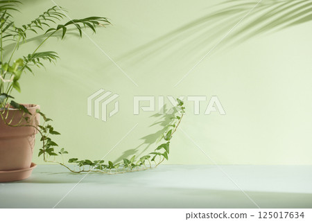 Morning Light and Natural Shadows in a Minimal Living Space. 125017634