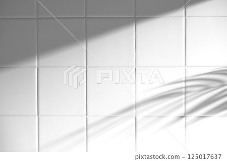 Morning Light and Natural Shadows in a Minimal Living Space. Morning Light and Natural Shadows in a Minimal Living Space. 125017637