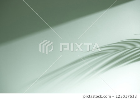 Morning Light and Natural Shadows in a Minimal Living Space. 125017638