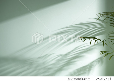Morning Light and Natural Shadows in a Minimal Living Space. 125017641