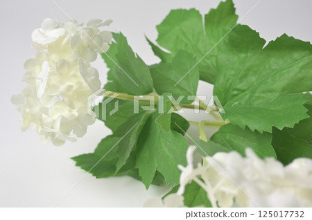 Artificial leaf 02 125017732