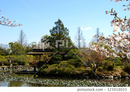 佐賀縣神野公園的春天景色（熱門旅遊景點和櫻花景點） 125018033